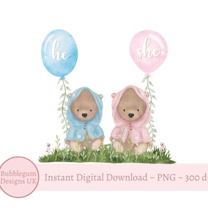 Roze en blauwe teddybeer, png, geslacht bekend: wat wordt de baby? Sublimatieafbeelding, roze blauwe beren, instant digitale download