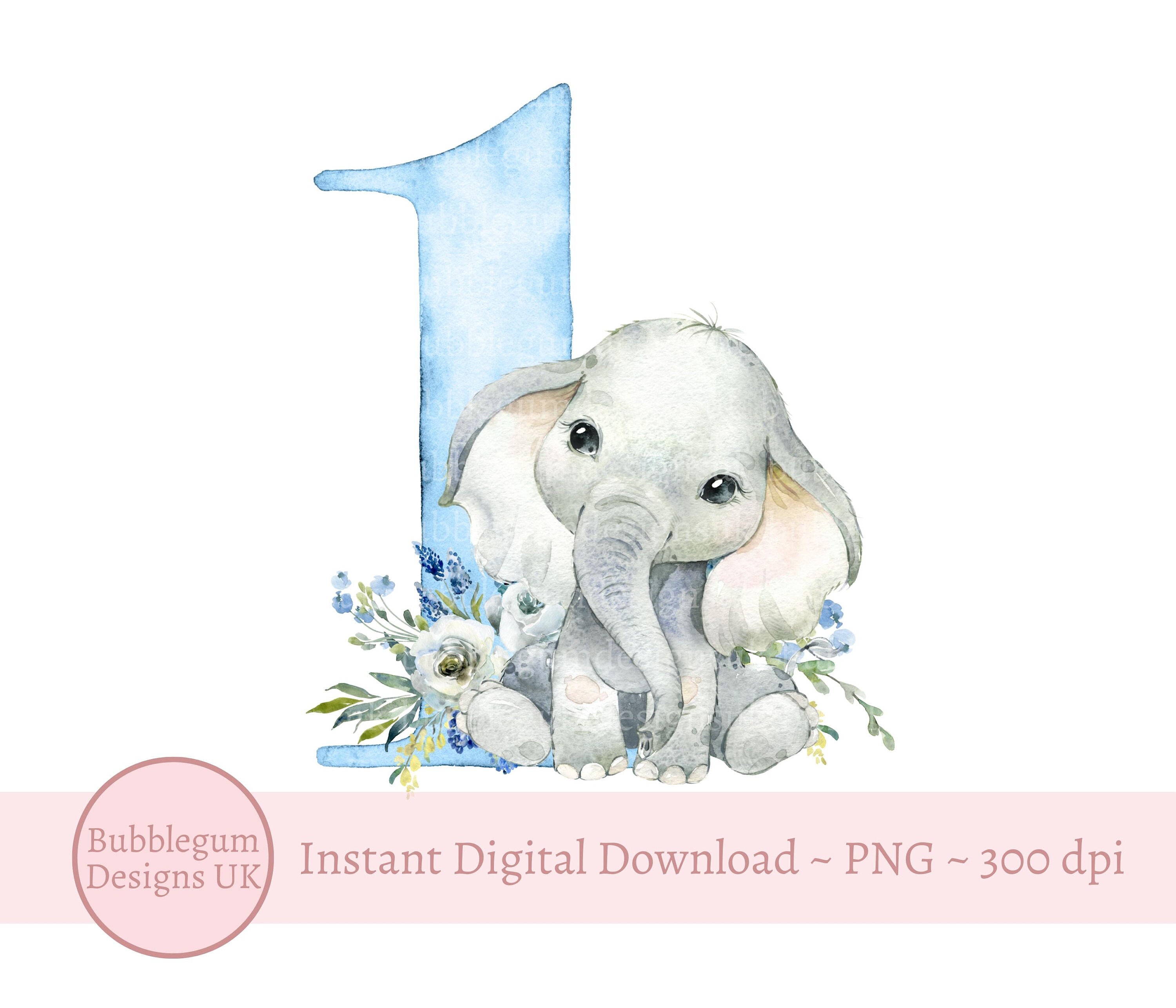 Pink & Blue Baby Elephant 1st Birthday PNG, Floral