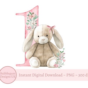 1st Birthday Pink One PNG, Lop Ear Bunny Sublimation Design, Girls First Birthday Party Decor, Birthday Bunny, Instant Digital Download