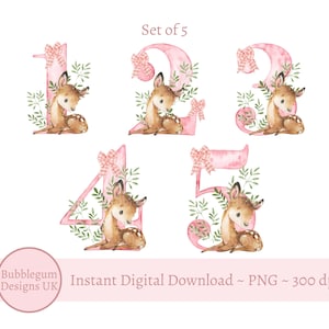 Pink Woodland Deer Numbers Age 1 to 5 Sublimation Designs, PNG, Deer Clipart, Baby Deer, Woodland Animal Design, Instant Digital Download