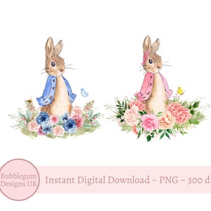 Set of 2 - Pink & Blue Bunny PNG, Floral Rabbit, Sublimation Design, Baby T-Shirt Design, Baby Vest Design, Digital Download, Printable Art