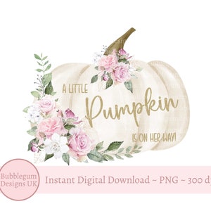 Mała dynia w drodze, jesienny baby shower PNG, kwiatowy clipart dyni, projekt sublimacji dyni, natychmiastowe pobieranie cyfrowe