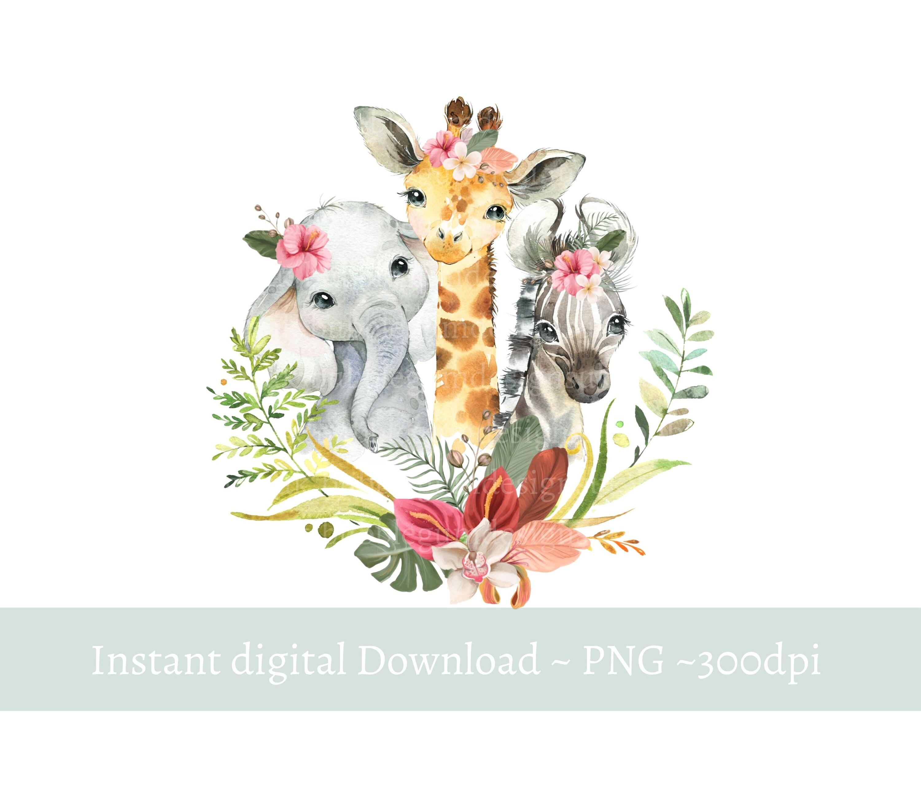 Watercolor Baby Safari Animals Png Ubicaciondepersonas cdmx gob mx