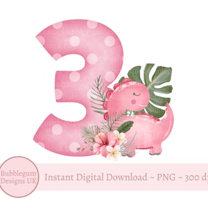 Roze dinosaurus 3e verjaardag PNG, dinosaurus derde verjaardag clipart, dinosaurus verjaardagskaart ontwerp, verjaardag sublimatie, instant digitale download