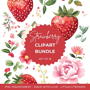 Lot de cliparts fraises et fleurs | Arrière-plan transparent PNG | Art numérique floral mignon pour invitations, agendas, scrapbooking