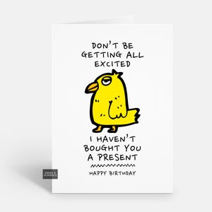 Tarjeta de cumpleaños divertida con un pájaro grosero para él o ella, tarjeta de felicitación de broma para hombres o mujeres adultos