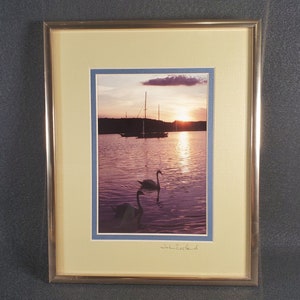 Swan on a Lake with Boats Photo originale par John Eveland