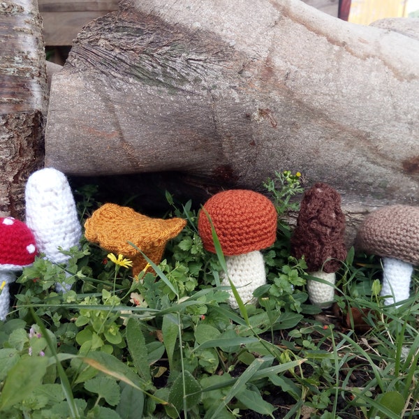 Mushrooms selection crochet pattern, Amanita, Shaggy mane, Chanterelle, Bolete, Morel, Button