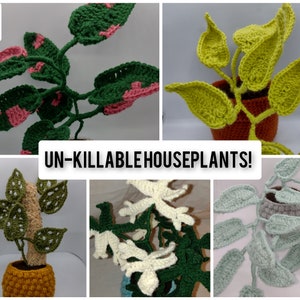 Puede incluir: Un collage de cinco plantas de interior de ganchillo en diferentes colores y estilos. Las plantas están etiquetadas como "UN-KILLABLE HOUSEPLANTS!" y la palabra "PDF" está en la esquina superior izquierda.
