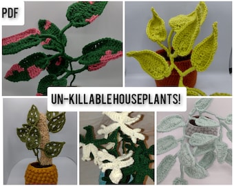 5 patrones de crochet para plantas de interior: filodendro, poto, epipremnum, princesa rosa, azul Cebú, fantasma de Florida, poto neón, scindapsus