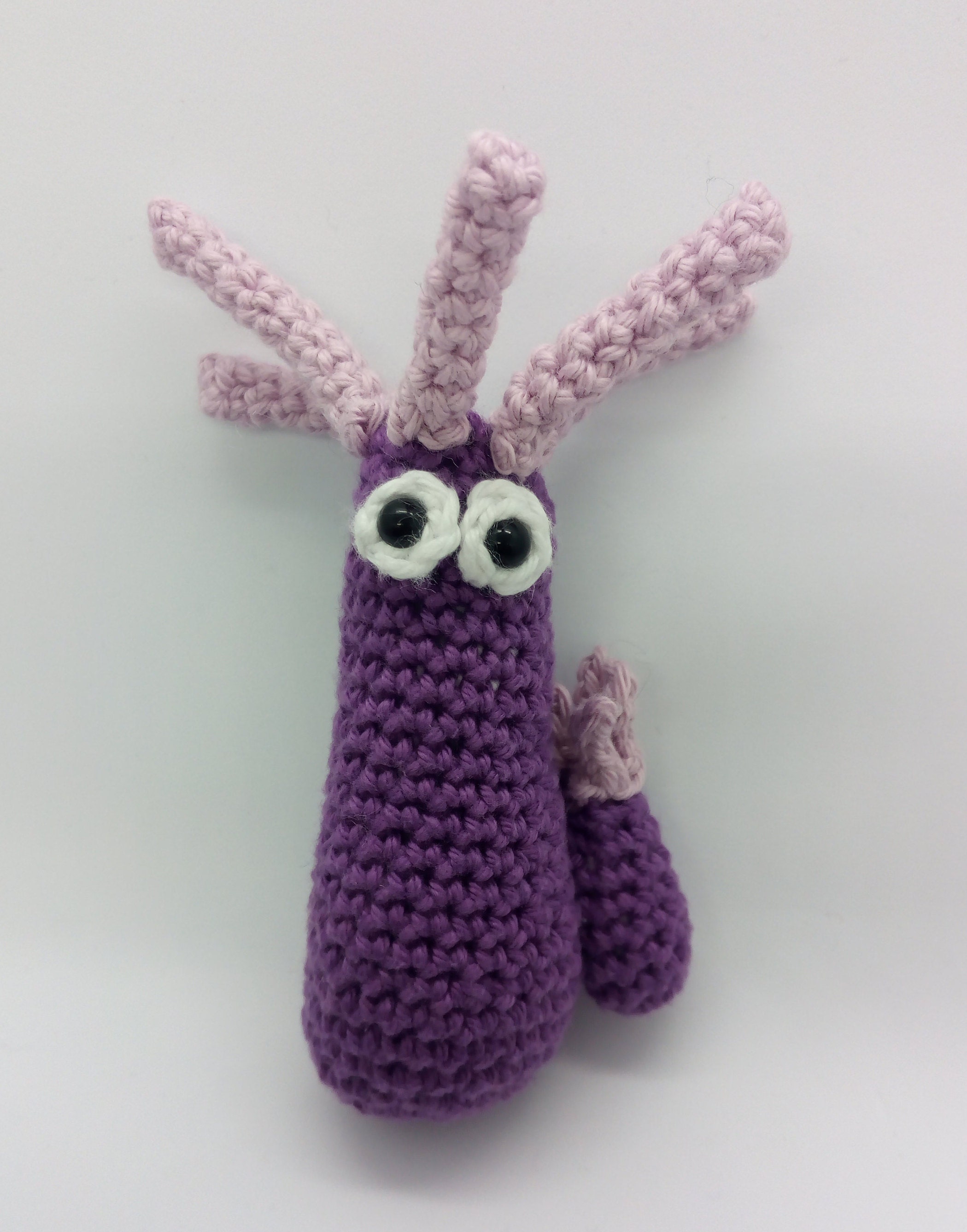 Crochet Pattern 'protist Pals' Set of 5 Models, Ciliate, Giardia, Hydra ...