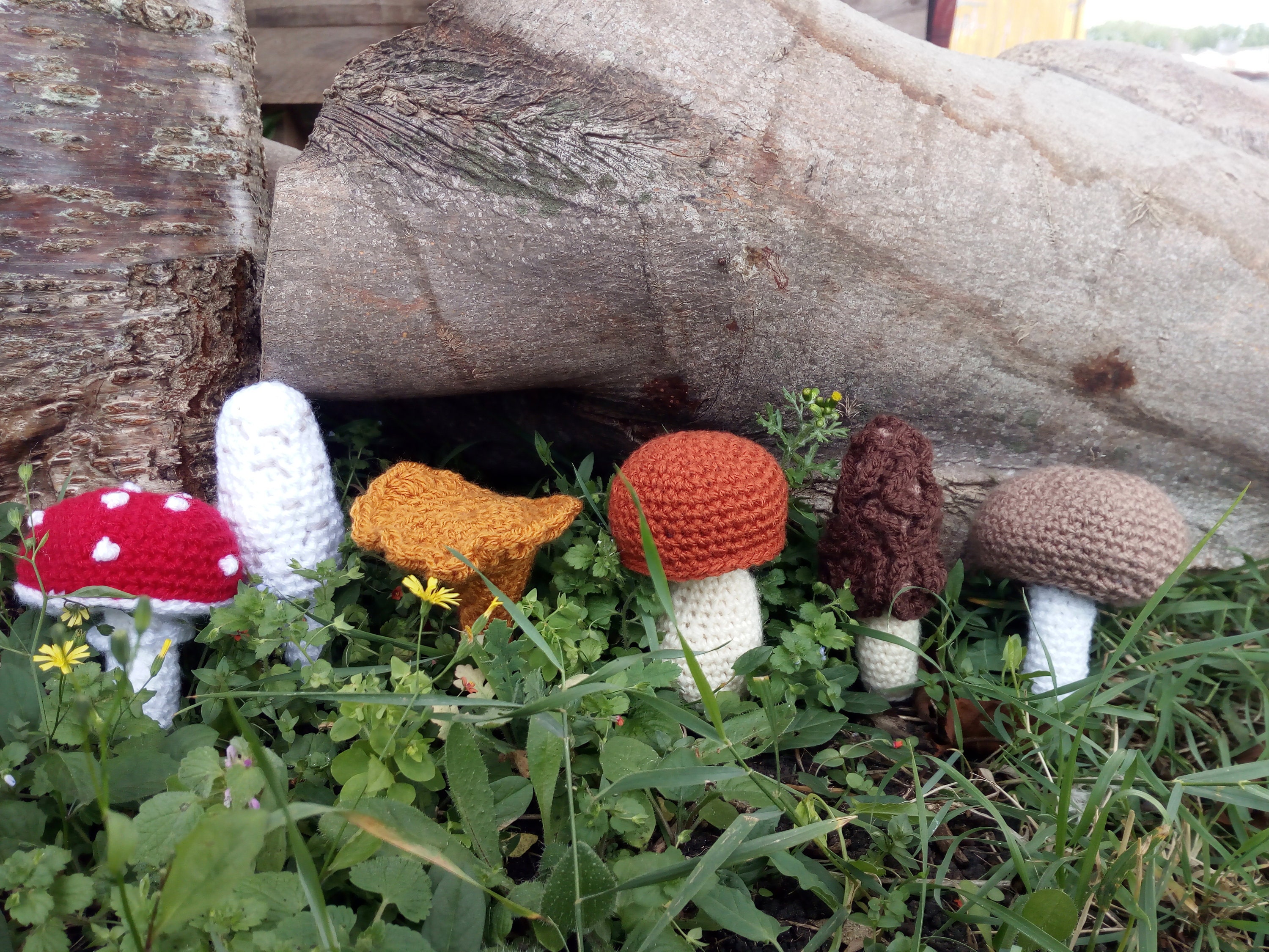 Hand made crochet wild mushrooms fungi toadstool Amanita | Etsy