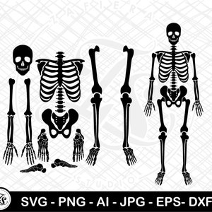 Skelet delen SVG, skelet PNG, skelet svg, skelet delen png, Halloween svg, Cricut Cut-bestanden, skelet voor Cricut en Silhouette
