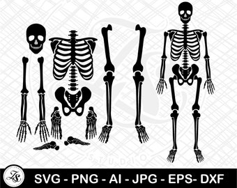 Skeleton Parts SVG, Skeleton PNG, Skeleton svg, Skeleton parts png, Halloween svg, Cricut Cut Files, Skeleton for Cricut and Silhouette