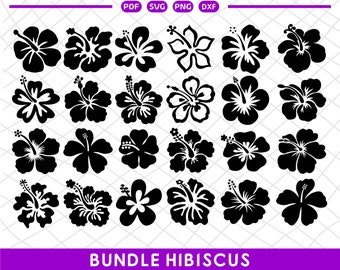 Download Tropical Flower Svg Etsy