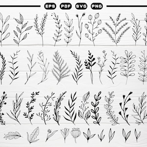 May include: A set of 40 black and white hand-drawn floral illustrations. The illustrations feature various types of leaves, branches, and flowers.