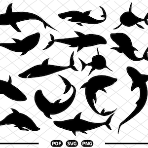 Shark SVG Shark silhouette Shark Clipart Shark file for Cricut & Silhouette Shark svg Starbucks cut files