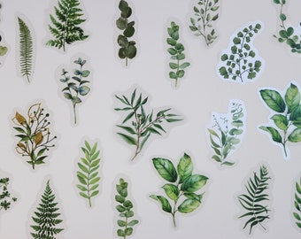 Stickers Set- Plants Stickers Set- Transparent Green Botanical Stickers- Eucalyptus Decorative Stickers- Scrapbooking Stickers- Fern Sticker