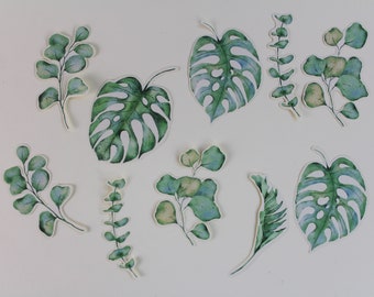 10 Aquarell grüne Blätter Aufkleber Set- Monstera Blätter Aufkleber- Botanisches Bullet Journal- Boho Natur Scrapbooking- Eukalyptus Aufkleber