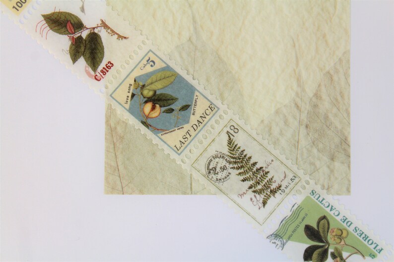 Postage Stamp Washi Tape Botanical Vintage Style Stamp Washi Tape Junk Journal Supplies Retro Plants Washi Tape imagen 3