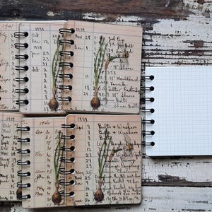 May include: Six small spiral bound notebooks with vintage style covers. Each notebook has a different month and year printed on the cover. The covers feature a botanical illustration of an onion plant with handwritten text.