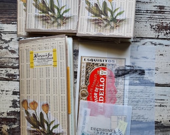 Junk journal: standard TN size insert, vintage