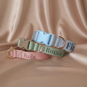 May include: Three nylon pet collars in light blue, sage green, and dusty pink. Each collar features a matching plastic side-release buckle, a rose gold metal D-ring, and custom text embroidered in a dark font reading Baila, Roxxiii, and Fin.