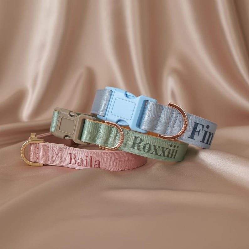 May include: Three nylon pet collars in light blue, sage green, and dusty pink. Each collar features a matching plastic side-release buckle, a rose gold metal D-ring, and custom text embroidered in a dark font reading Baila, Roxxiii, and Fin.