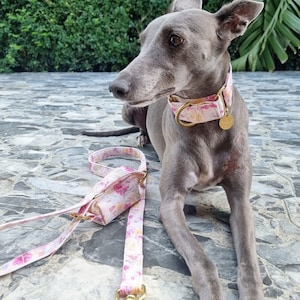 Life's Peachy Australian Native Flower martingale collar | floral |  Water resistant | Greyhound collar | Whippet collar | Rose Gold