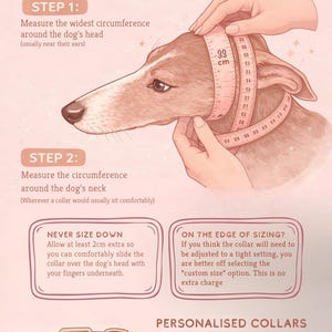 The image is a step-by-step guide on how to measure a martingale collar for a dog. It includes illustrations and instructions on measuring the collar around the dog's head and neck, as well as adjusting the collar to fit the dog's size.