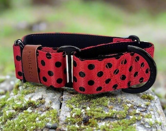 Ladybird Dotty Martingale Dog Collar – Padded, personalised with Dog's Name Optional