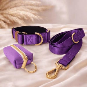 royal purple dog collar and leash set with matching poop bag holder