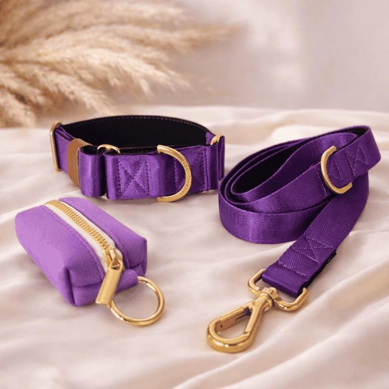 royal purple dog collar and leash set with matching poop bag holder