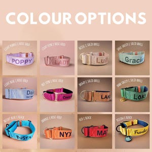 personalised Martingale Dog collars
