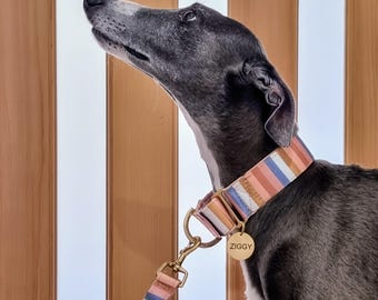 Martingale Dog Collar: Striped with soft padding