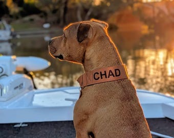 Tawny Brown Neoprene Padded Martingale Dog Collar: Solid Brass Hardware and optional personalisation