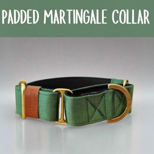 green martingale dog collar with solid brass hardware
