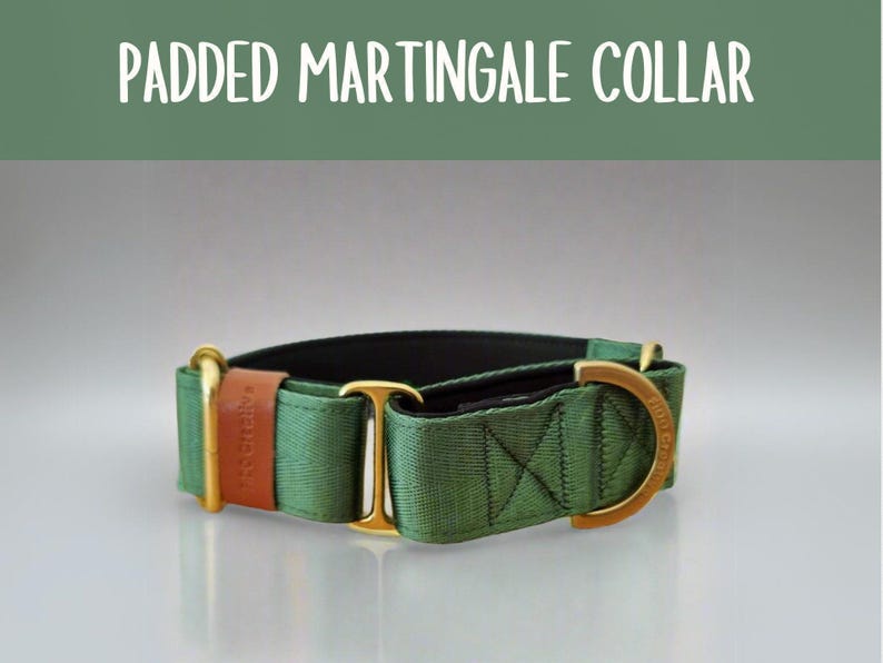 green martingale dog collar with solid brass hardware