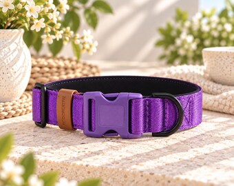 Royal Purple Dog Collar | Martingale, Buckle or Buckle Martingale | Solid Brass Hardware | Personalised Sighthound Collar