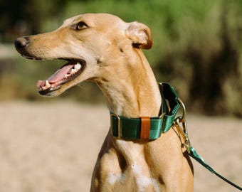 Green Martingale Dog Collar: Personalised, Padded, Brass Hardware