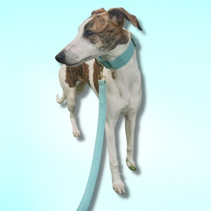 Mint dog leash | pastel green lead | Canvas | light green | lead |4ft leash| 5ft leash | 6ft leash | Training Dog Leash