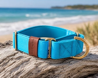 Personalised Blue Martingale Dog Collar, Padded Greyhound Whippet, Custom Name Phone (Solid Brass)