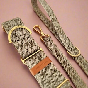 Tweed Martingale Dog Collar: Herringbone Twill with Solid Brass
