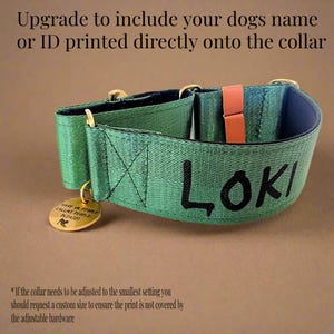 A green dog collar with personalised name "Loki" printed on it, along with a small gold-colored tag that says "HAVE US CALL PEOPLE PLEASE".