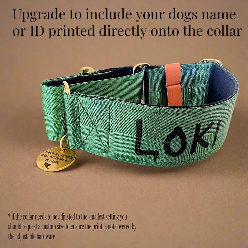 A green dog collar with personalised name "Loki" printed on it, along with a small gold-colored tag that says "HAVE US CALL PEOPLE PLEASE".