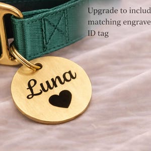 A green and gold-colored dog collar with a round tag attached, featuring the name "Luna" and a heart symbol.