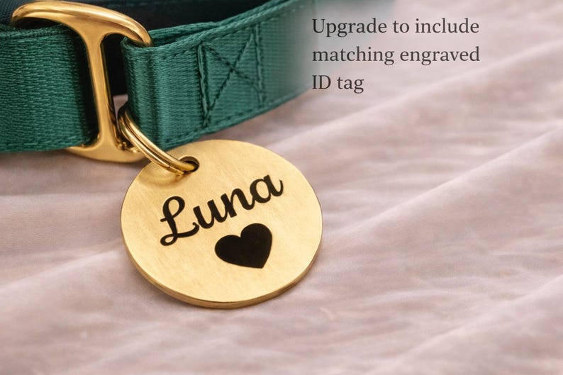 A green and gold-colored dog collar with a round tag attached, featuring the name "Luna" and a heart symbol.