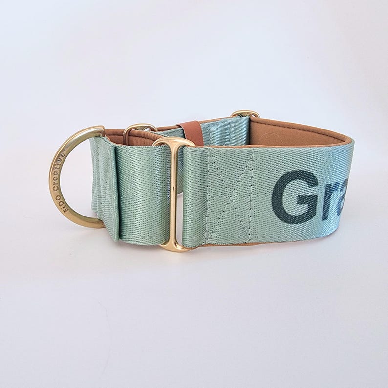 martingale collar with personalised name and padding