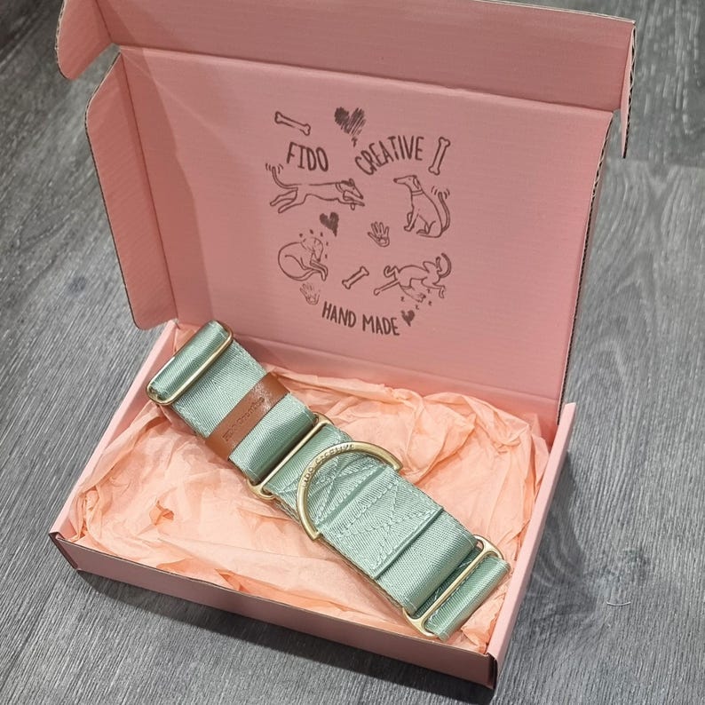 green and gold dog collar in box