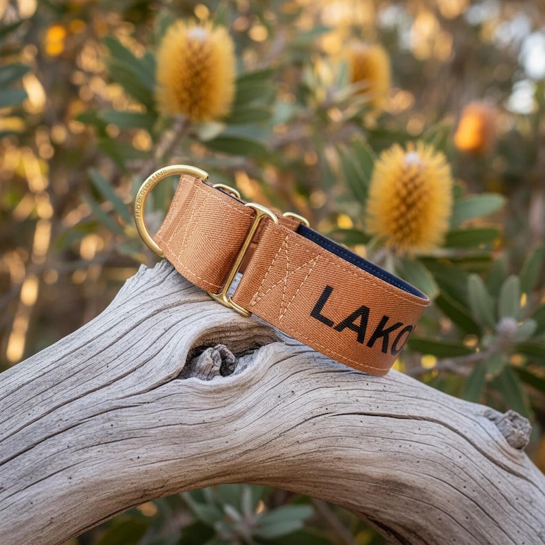 May include: A tan-colored dog collar featuring gold-toned metal hardware, including a D-ring and a slider. The collar is constructed from a durable woven fabric with a dark blue inner lining and displays the partial black text LAKO on the exterior.